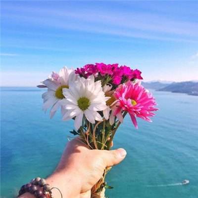 海盗物语做出选择手游下载