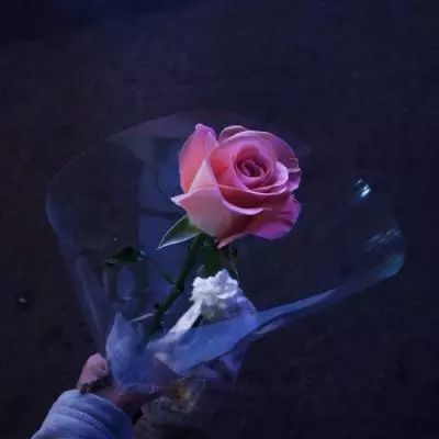 妖精来了手游下载